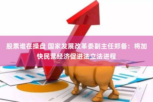 股票谁在操盘 国家发展改革委副主任郑备：将加快民营经济促进法立法进程