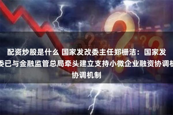 配资炒股是什么 国家发改委主任郑栅洁：国家发改委已与金融监管总局牵头建立支持小微企业融资协调机制