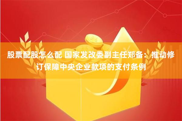 股票配股怎么配 国家发改委副主任郑备：推动修订保障中央企业款项的支付条例