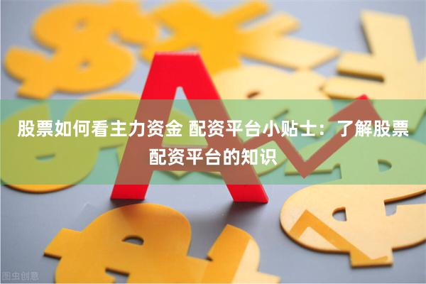 股票如何看主力资金 配资平台小贴士：了解股票配资平台的知识