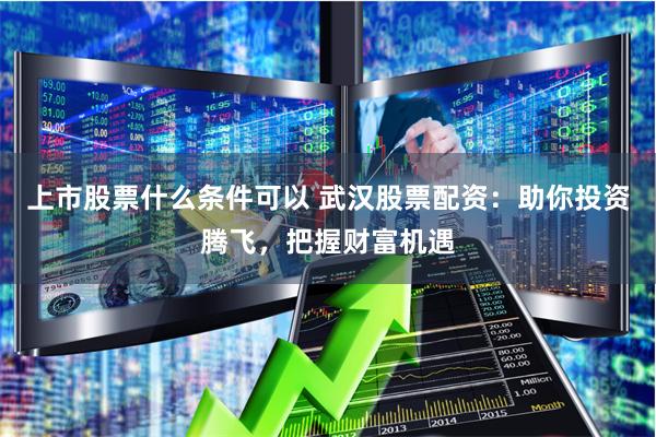 上市股票什么条件可以 武汉股票配资:助你投资腾飞,把握财富机遇